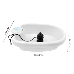 Ionic Detox Foot Bath